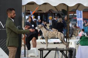 Zena consigue el 2BIS en Pompadour 2024