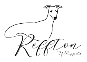 Prespa light mode logo 