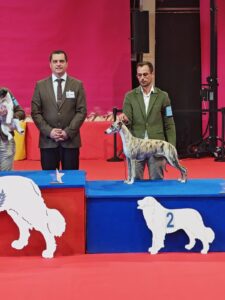 Zena, Reserva BEST IN SHOW en Tarbes