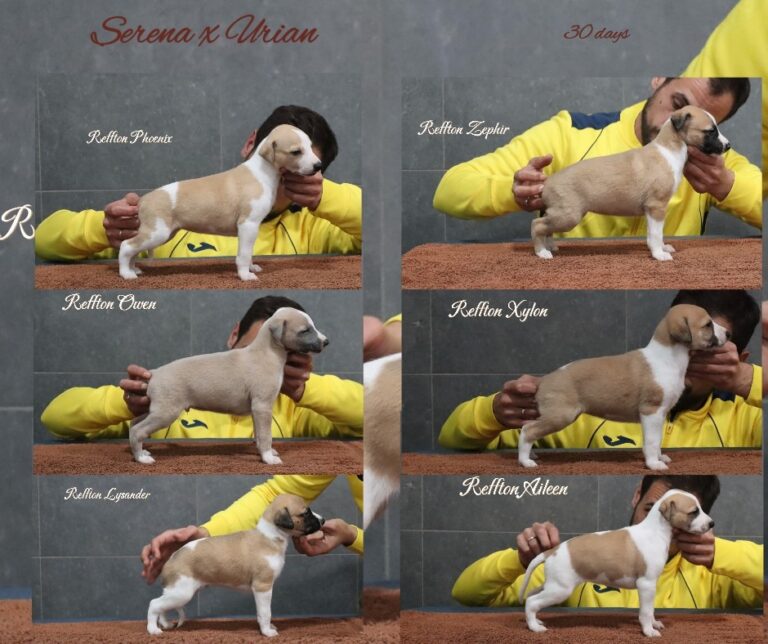 Los cachorros de Urian y Serena con un mes!