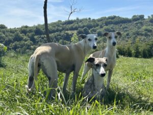 FOTOS DE UN DÍA DE MAYO EN EL JARDÍN